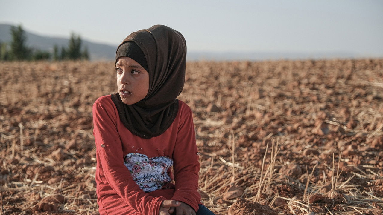 Backdrop image for movie Edge of the Valley