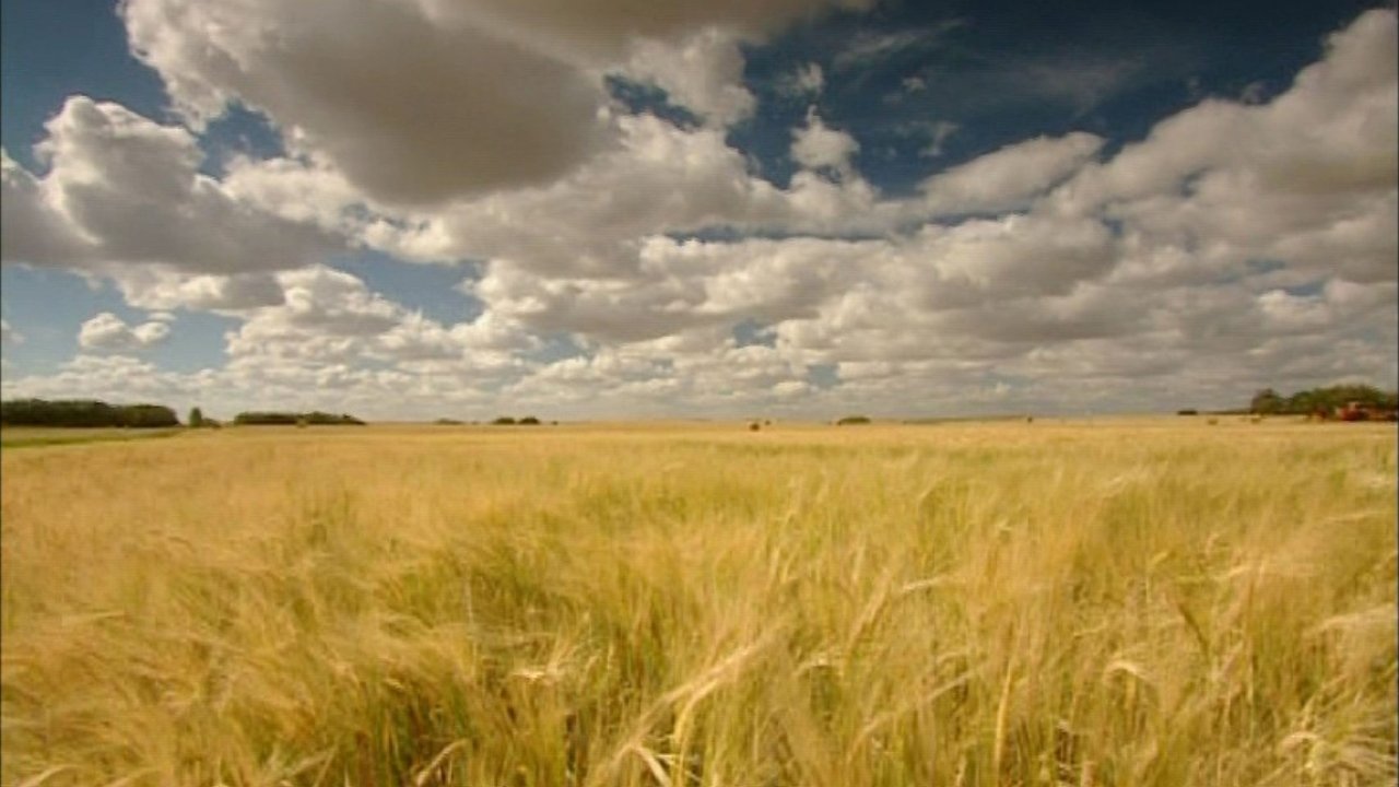 Backdrop image for movie The Future of Food