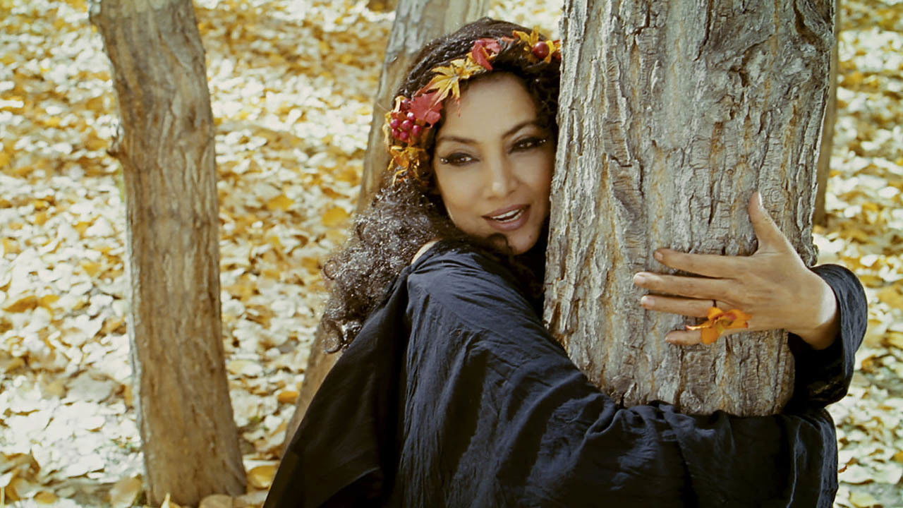 Backdrop image for movie The Wishing Tree