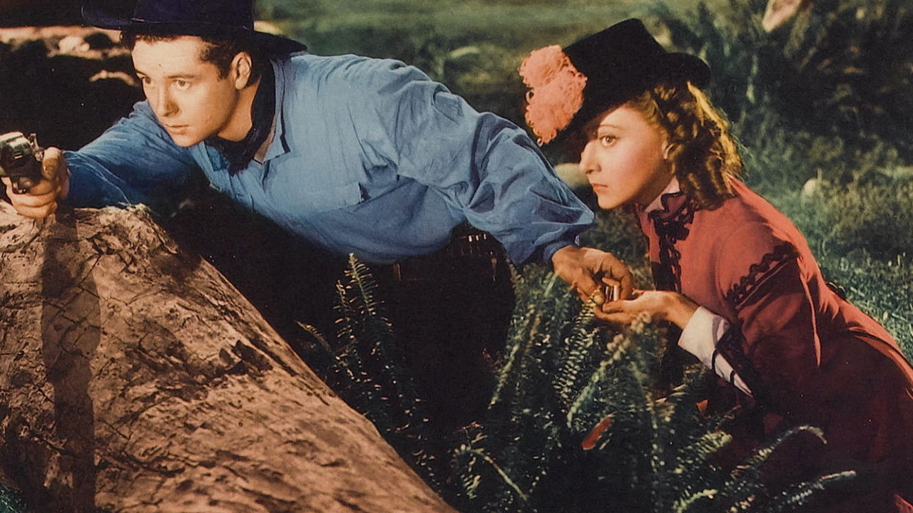 Backdrop image for movie The Law West of Tombstone