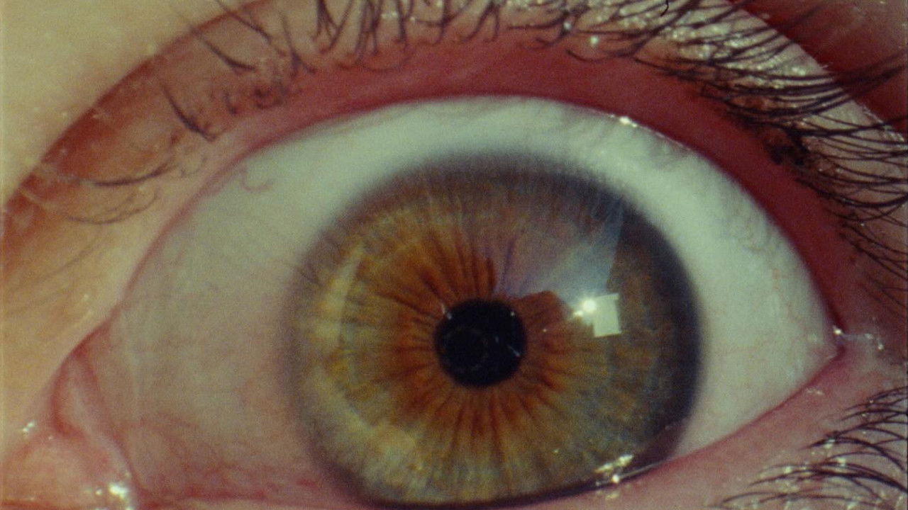 Backdrop image for movie The Last Dinner Party: Prelude to Ecstasy