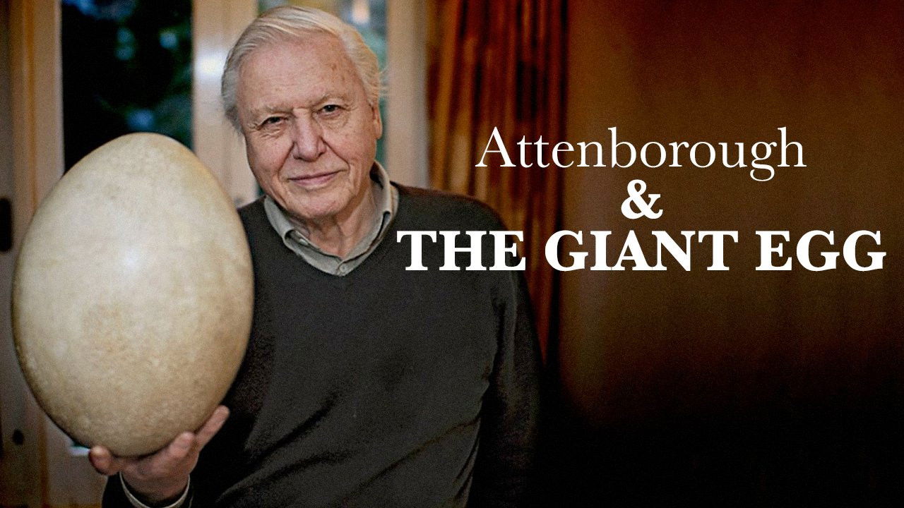Backdrop image for movie Attenborough and the Giant Egg