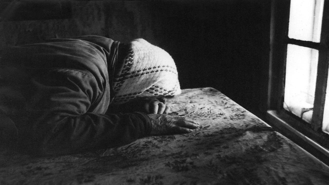 Backdrop image for movie The Belovs