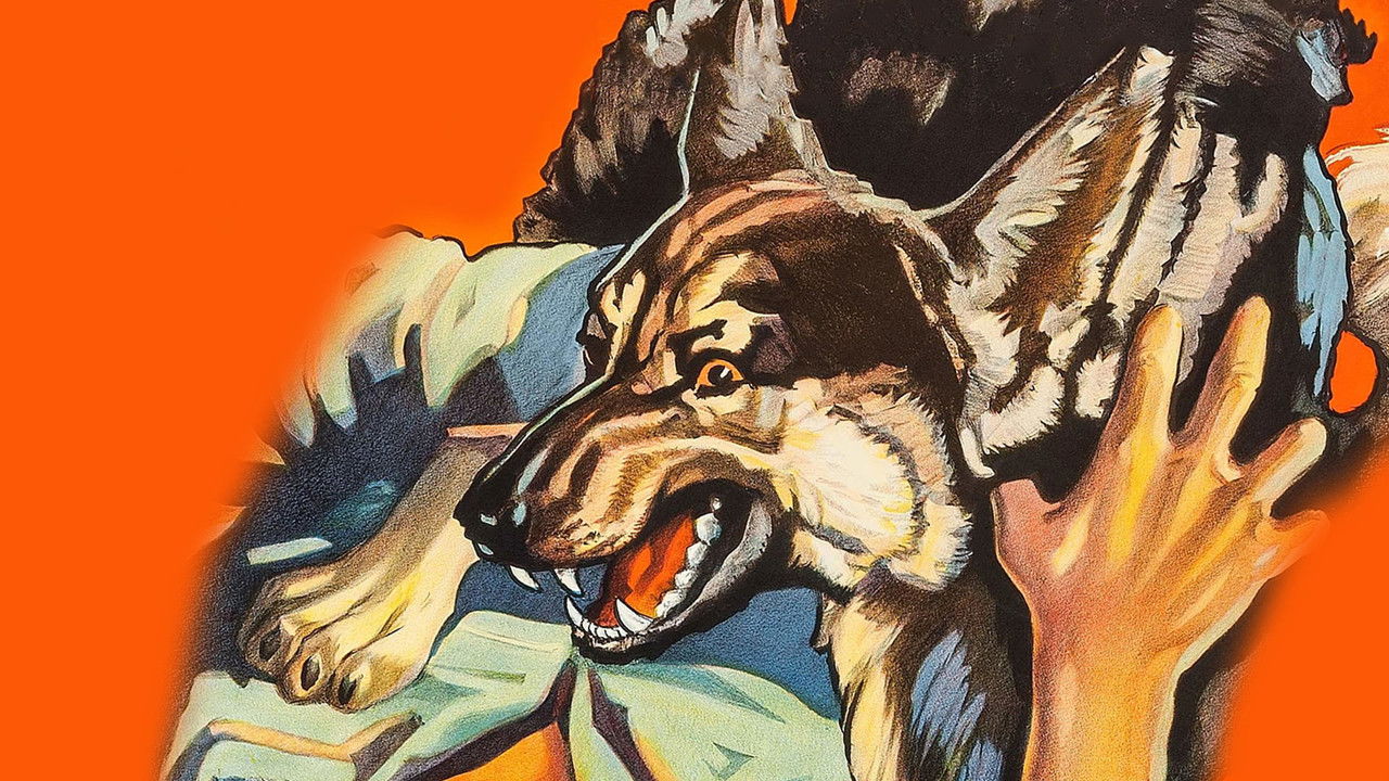 Backdrop image for movie Ferocious Pal