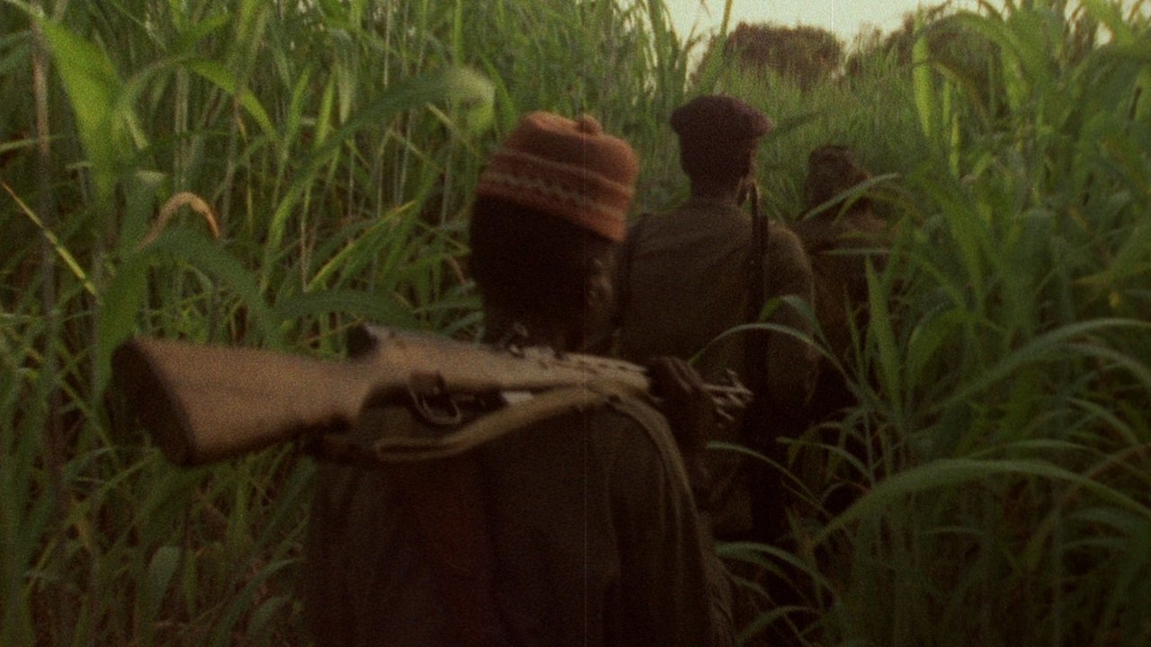 Backdrop image for movie Concerning Violence