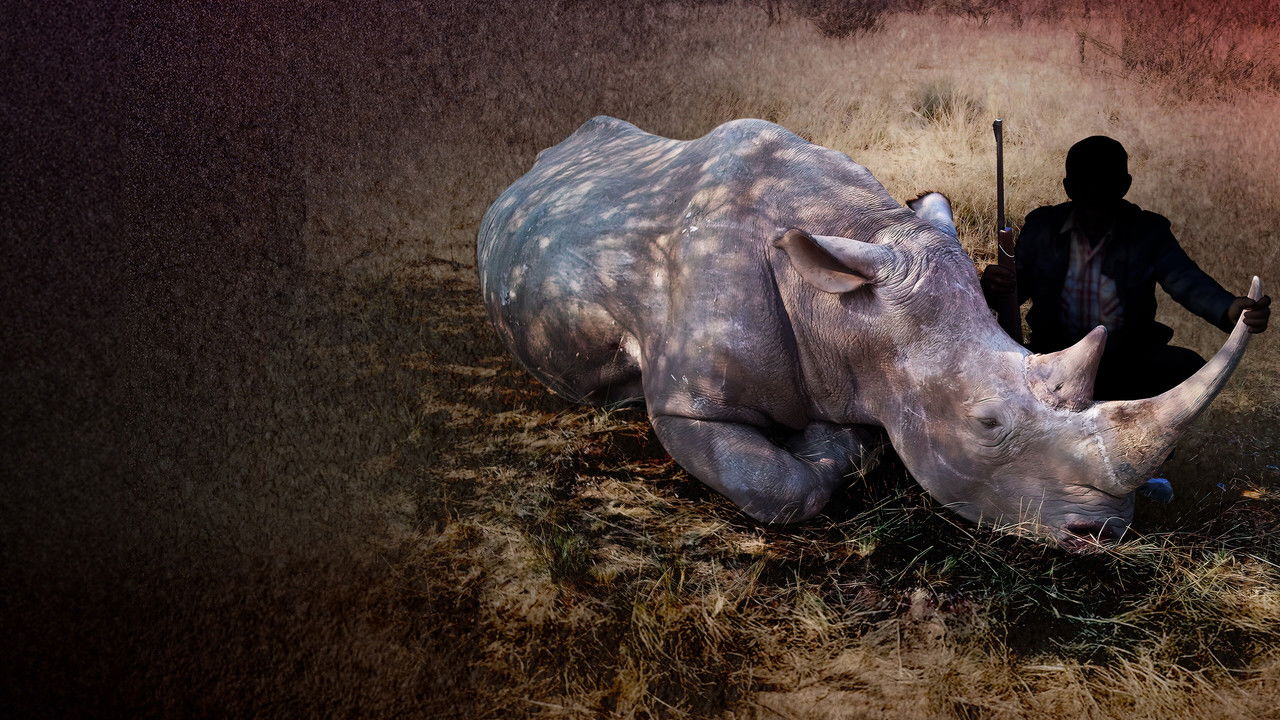 Backdrop image for movie Bloody Trophy