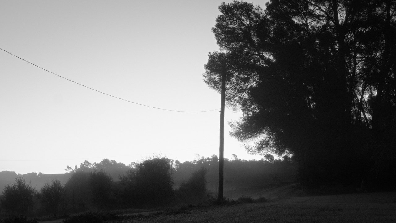 Backdrop image for movie Estimada Sa Bastida