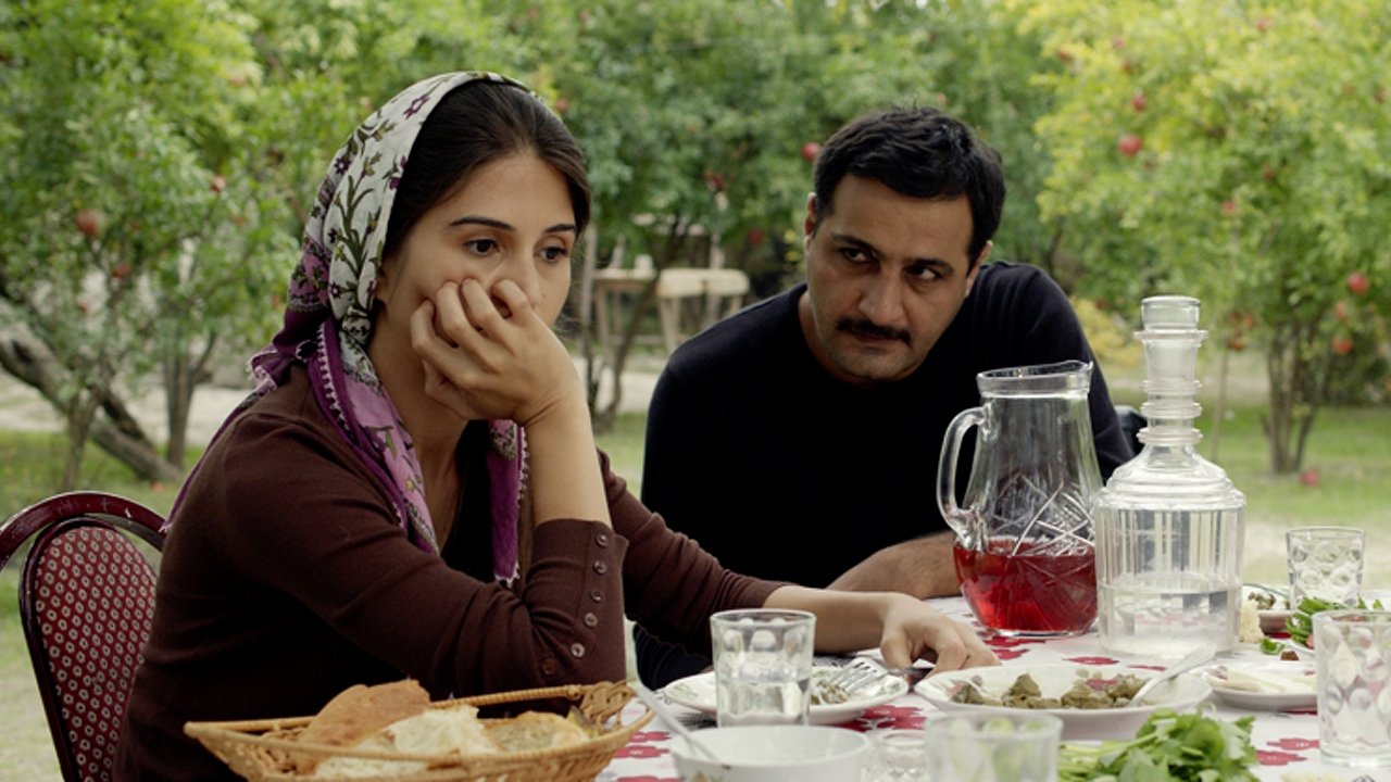 Backdrop image for movie Pomegranate Orchard