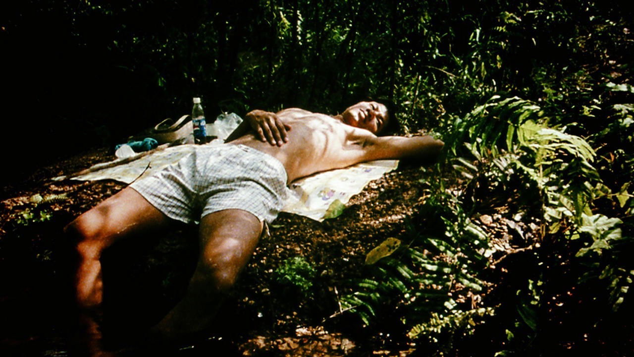 Backdrop image for movie Blissfully Yours