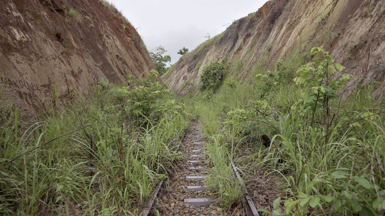 Backdrop image for movie Congo-Océan, un chemin de fer et de sang
