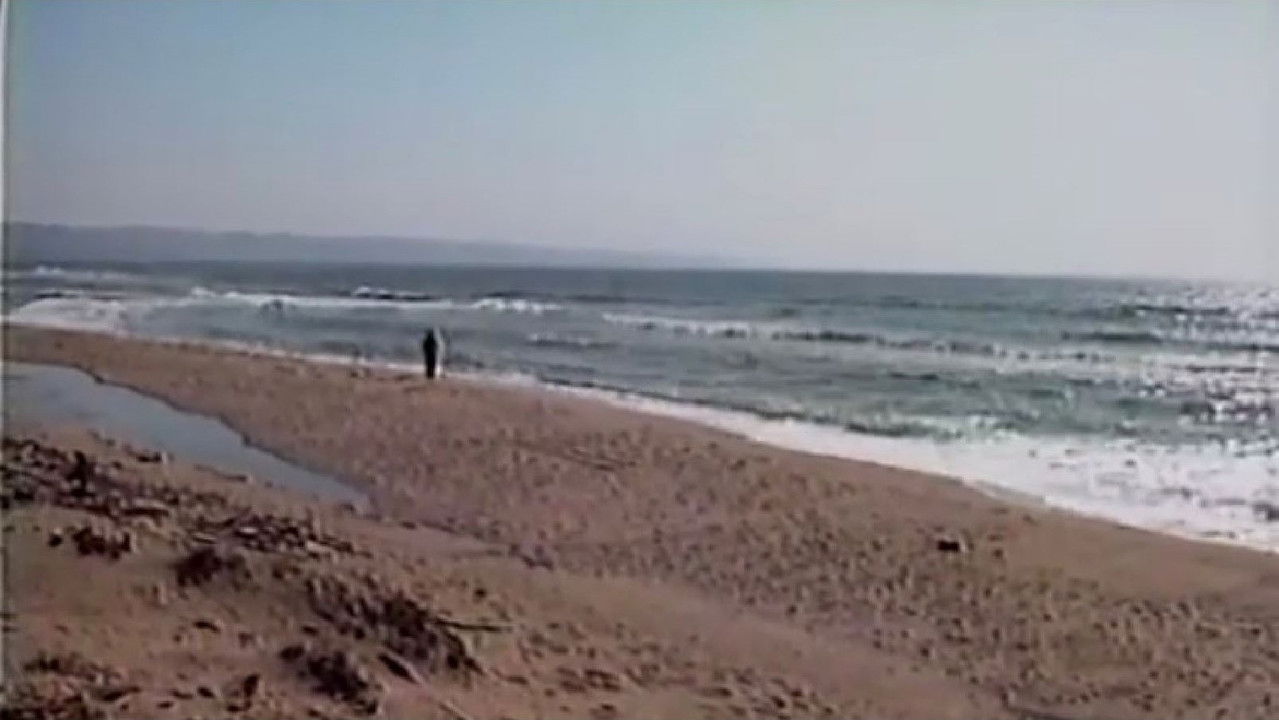 Backdrop image for movie Zen, in Search of Enlightenment