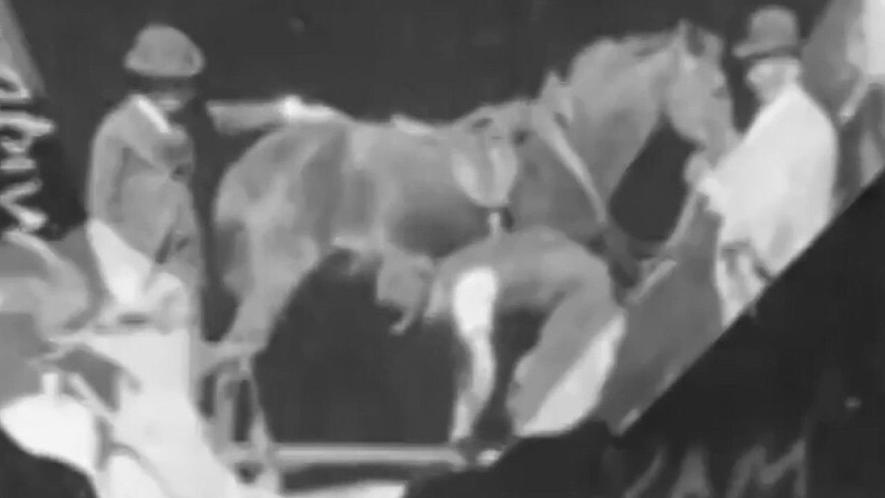 Backdrop image for movie Horse Shoeing