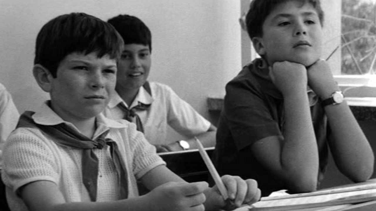 Backdrop image for movie Little Hedghogs Have No Quills