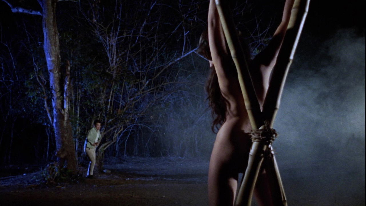 Backdrop image for movie Brides of Blood