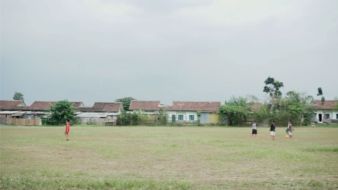 Backdrop image for movie Aphrodite Stereotype