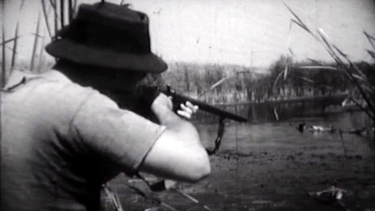 Backdrop image for movie Flight Above the Marshes