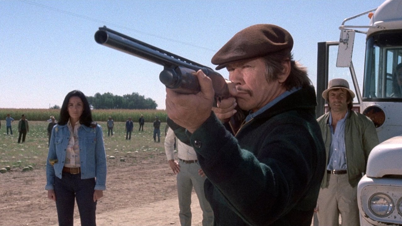 Backdrop image for movie Mr. Majestyk