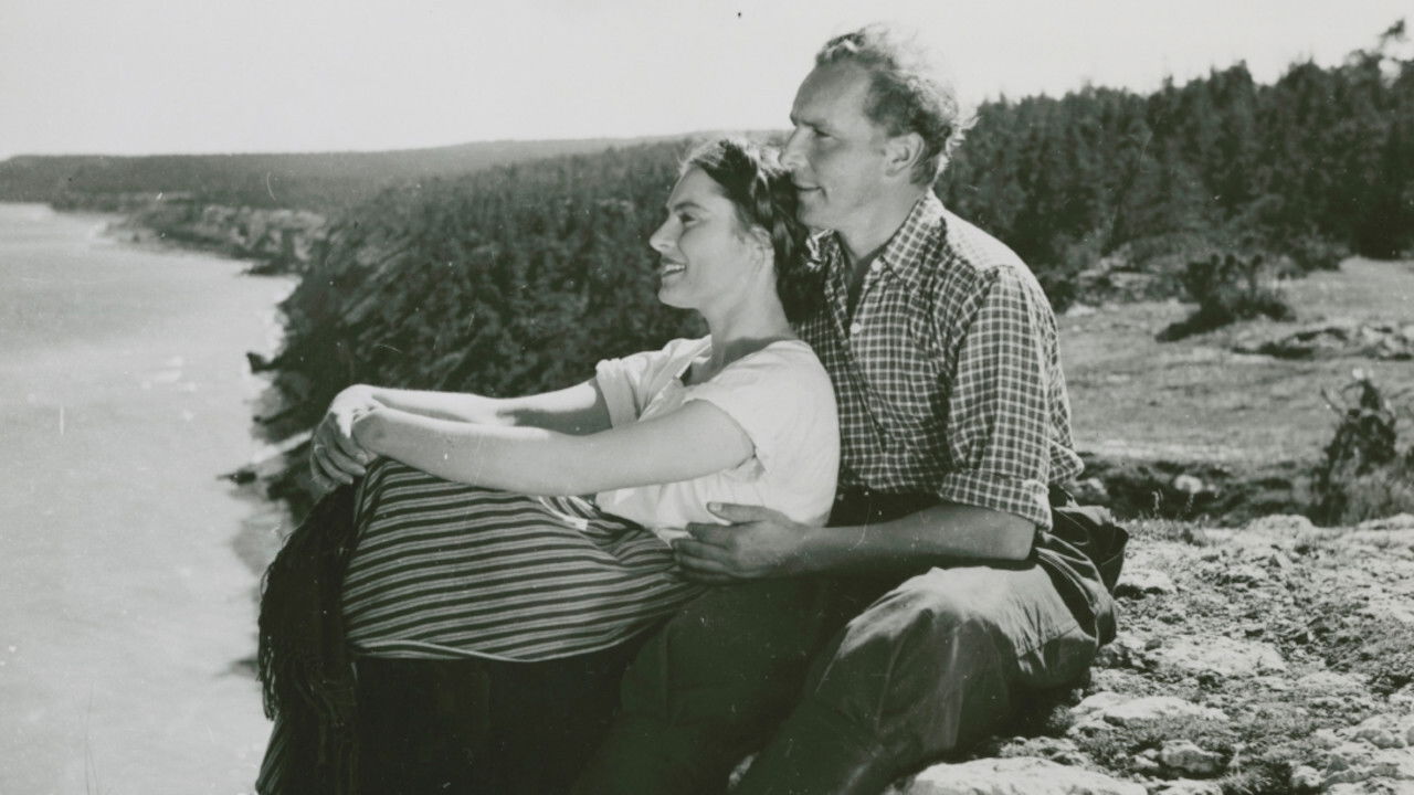 Backdrop image for movie The Brothers' Woman