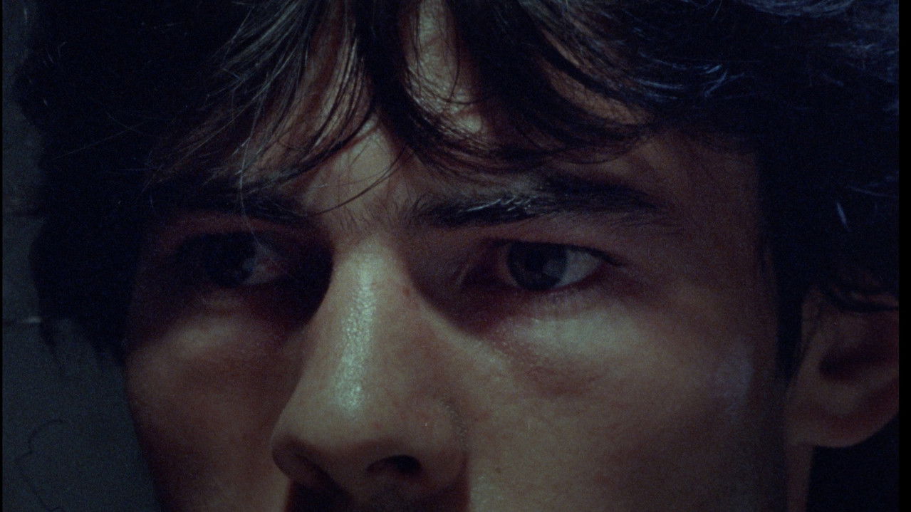 Backdrop image for movie Goodbye Fellas