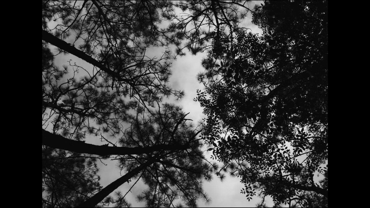 Backdrop image for movie Frankenstein The Creature