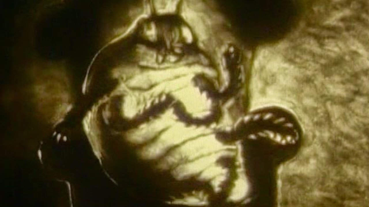 Backdrop image for movie The Metamorphosis of Mr. Samsa