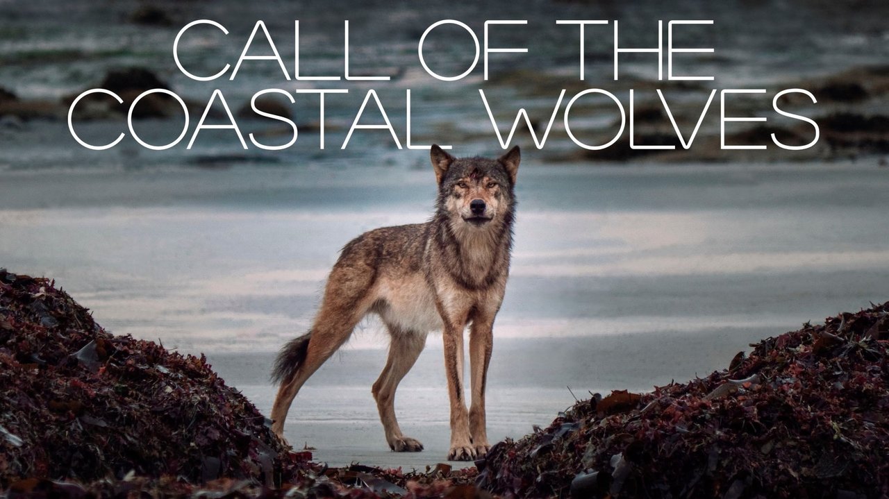 Backdrop image for movie Call Of The Coastal Wolves