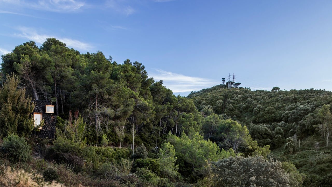 Backdrop image for movie Valldaura: A Quarantine Cabin