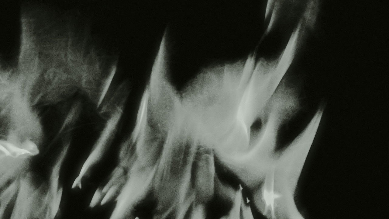 Backdrop image for movie Her Wings