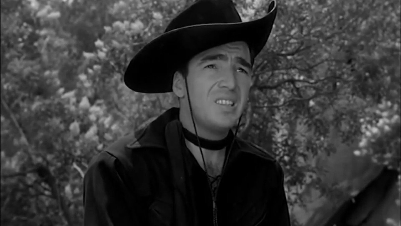Backdrop image for movie King of the Bullwhip