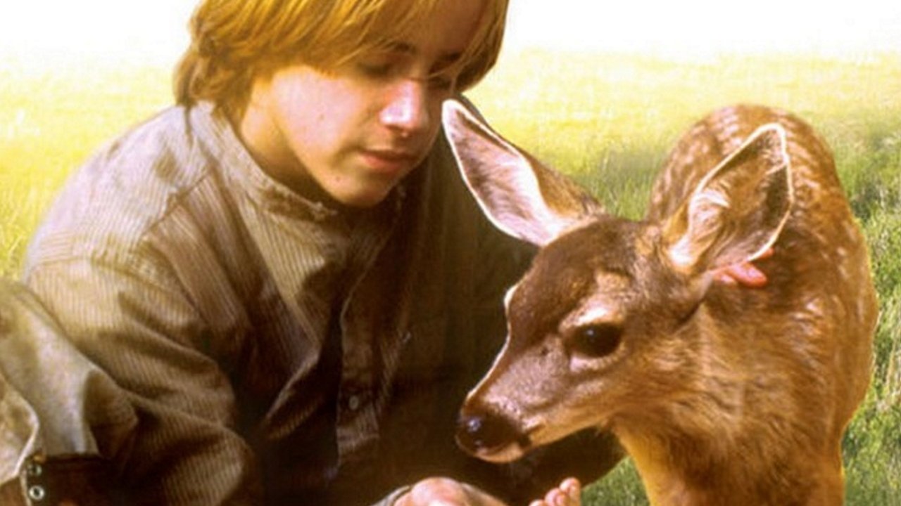 Backdrop image for movie The Yearling