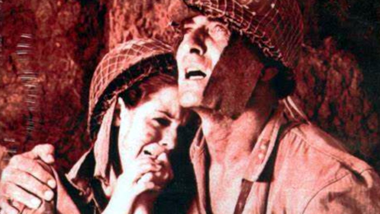 Backdrop image for movie Guerillas in Pink Lace