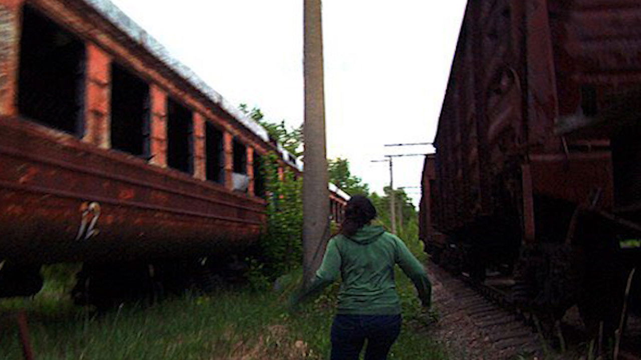 Backdrop image for movie After Chernobyl