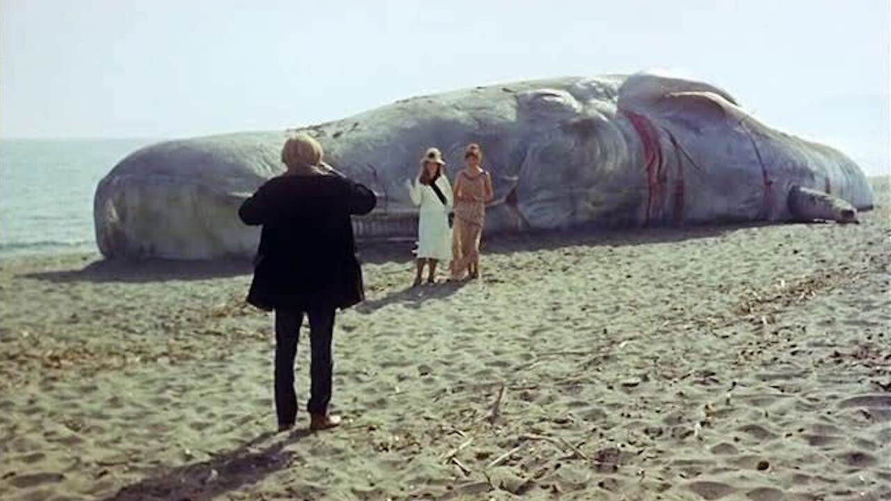 Backdrop image for movie The Seed of Man