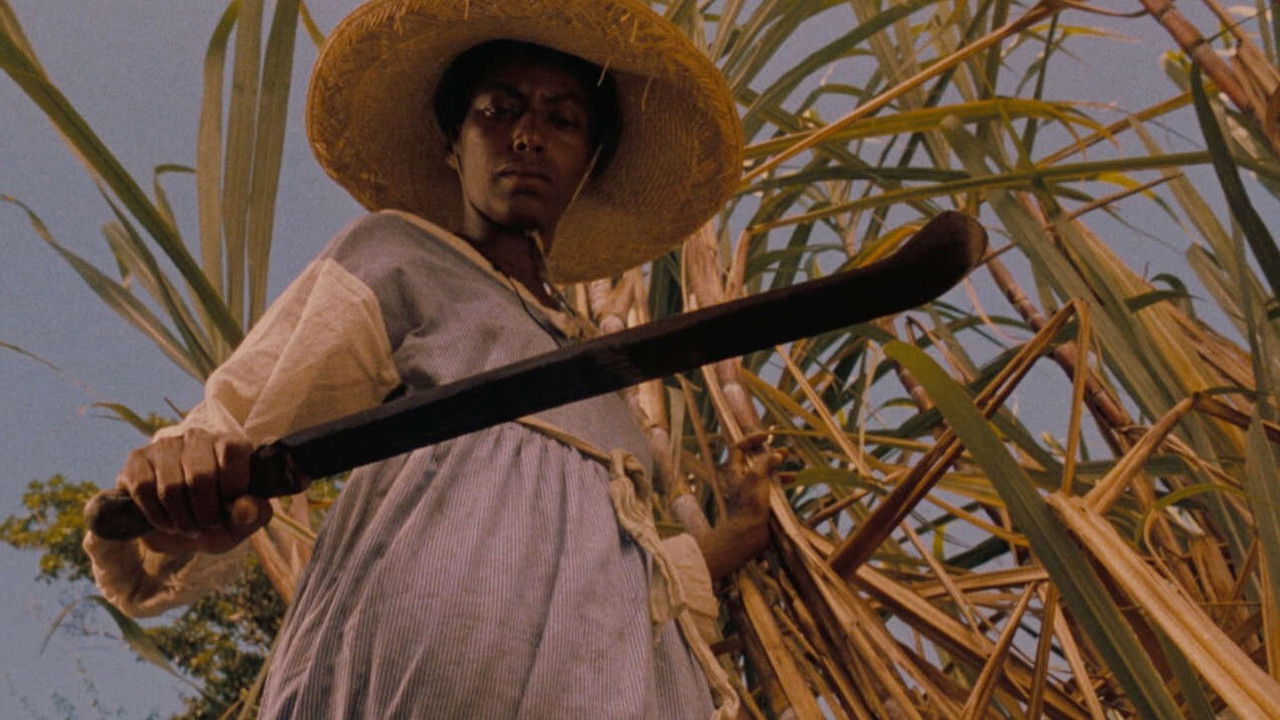 Backdrop image for movie Sankofa