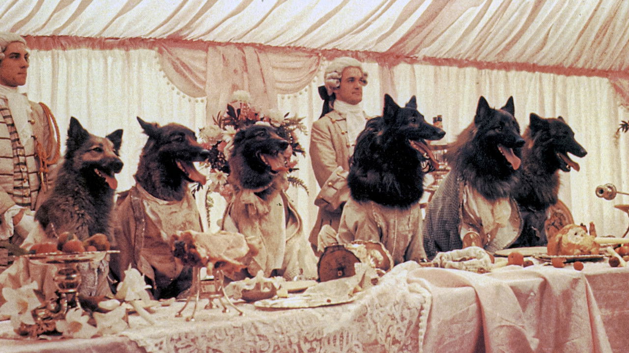 Backdrop image for movie The Company of Wolves