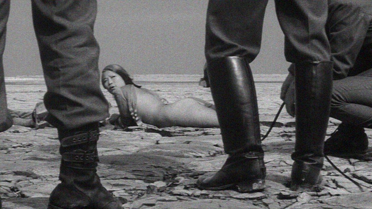 Backdrop image for movie Japanese Summer: Double Suicide