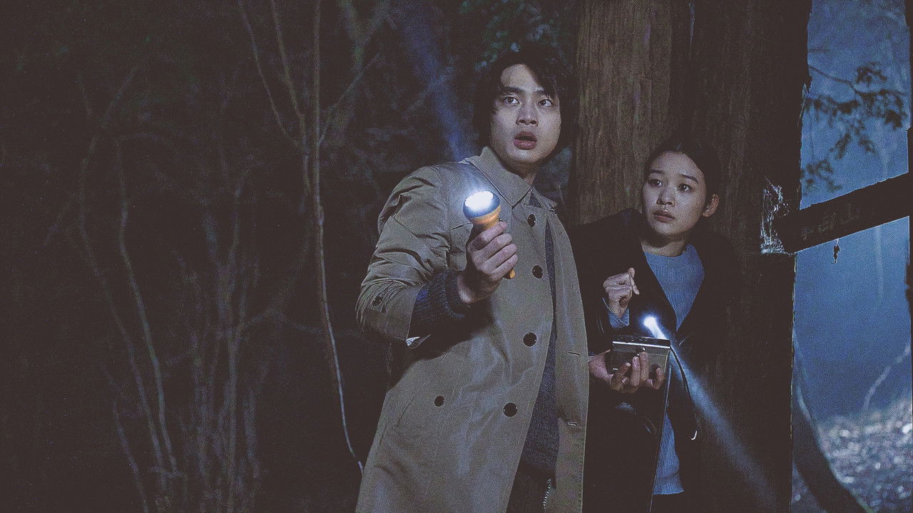 Backdrop image for movie Missing Child Videotape