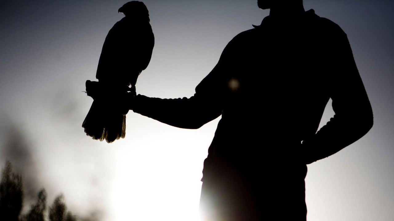 Backdrop image for movie Feathered Cocaine