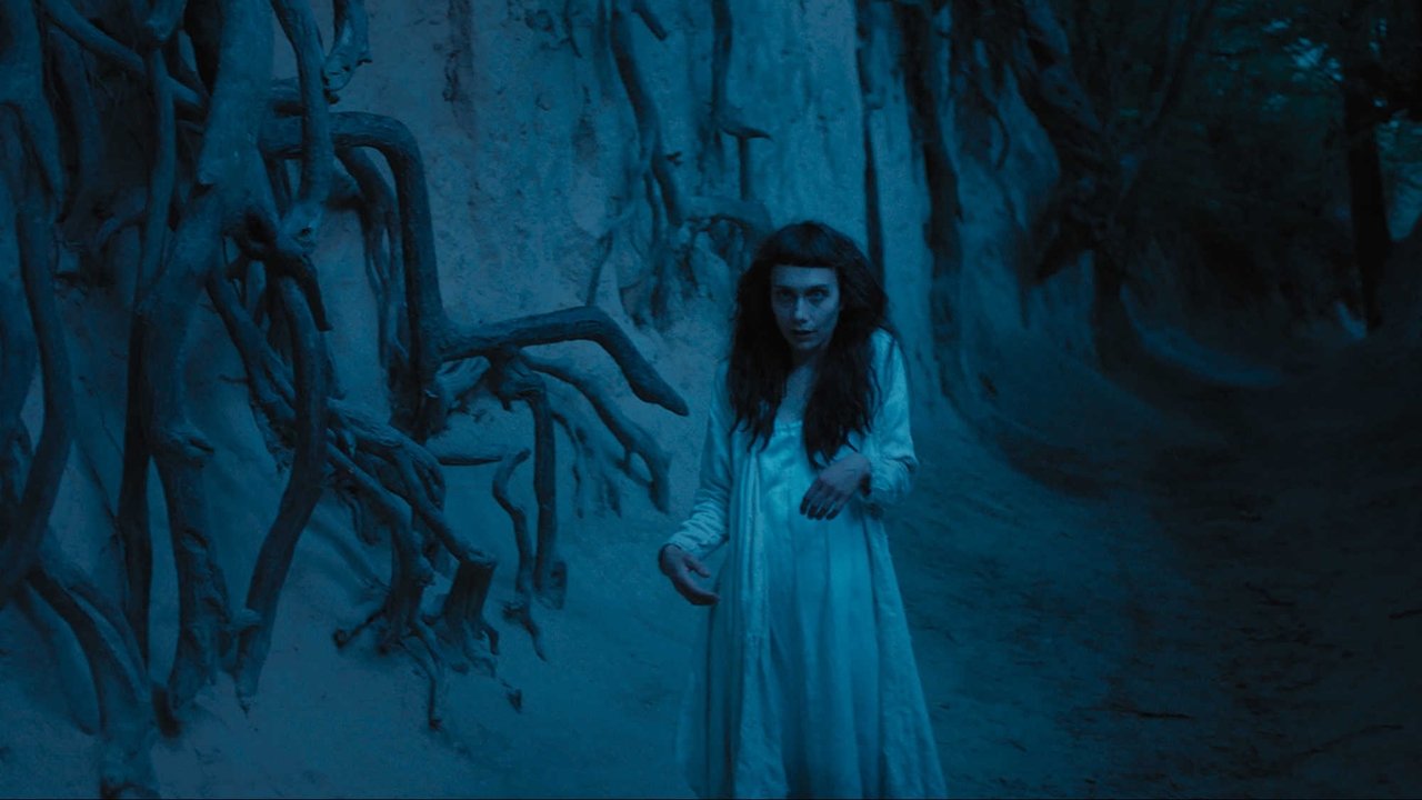Backdrop image for movie The Field Guide to Evil