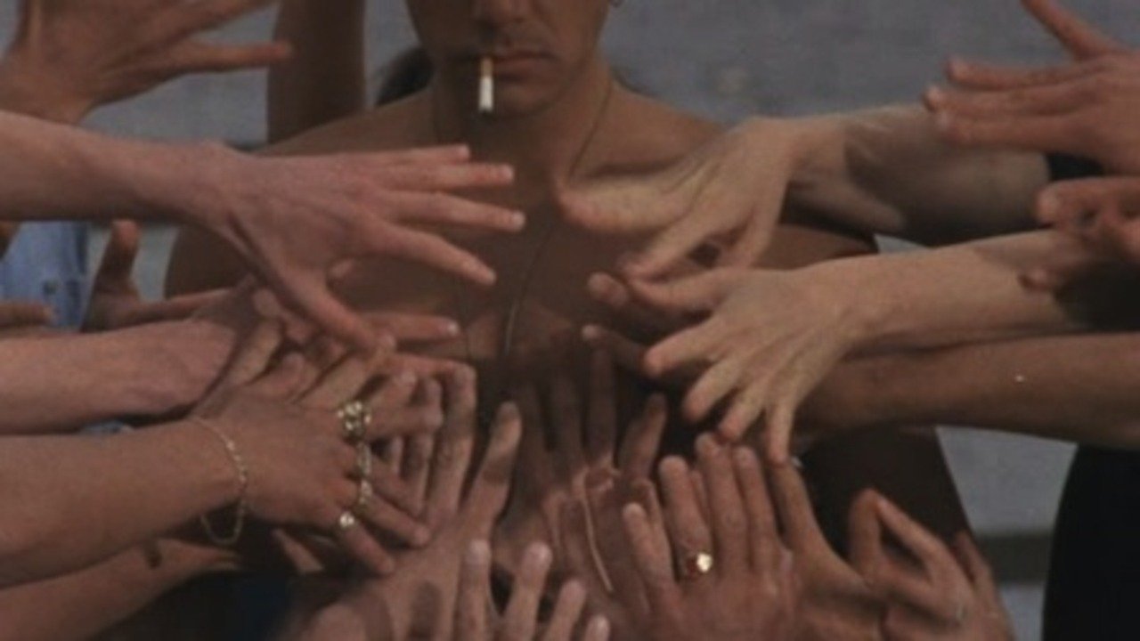 Backdrop image for movie Lie Down With Dogs