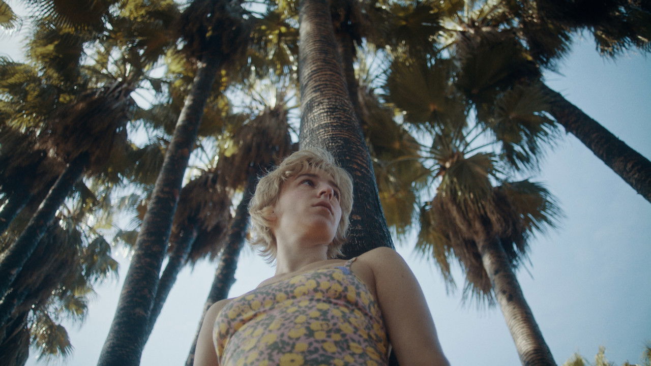 Backdrop image for movie Camper