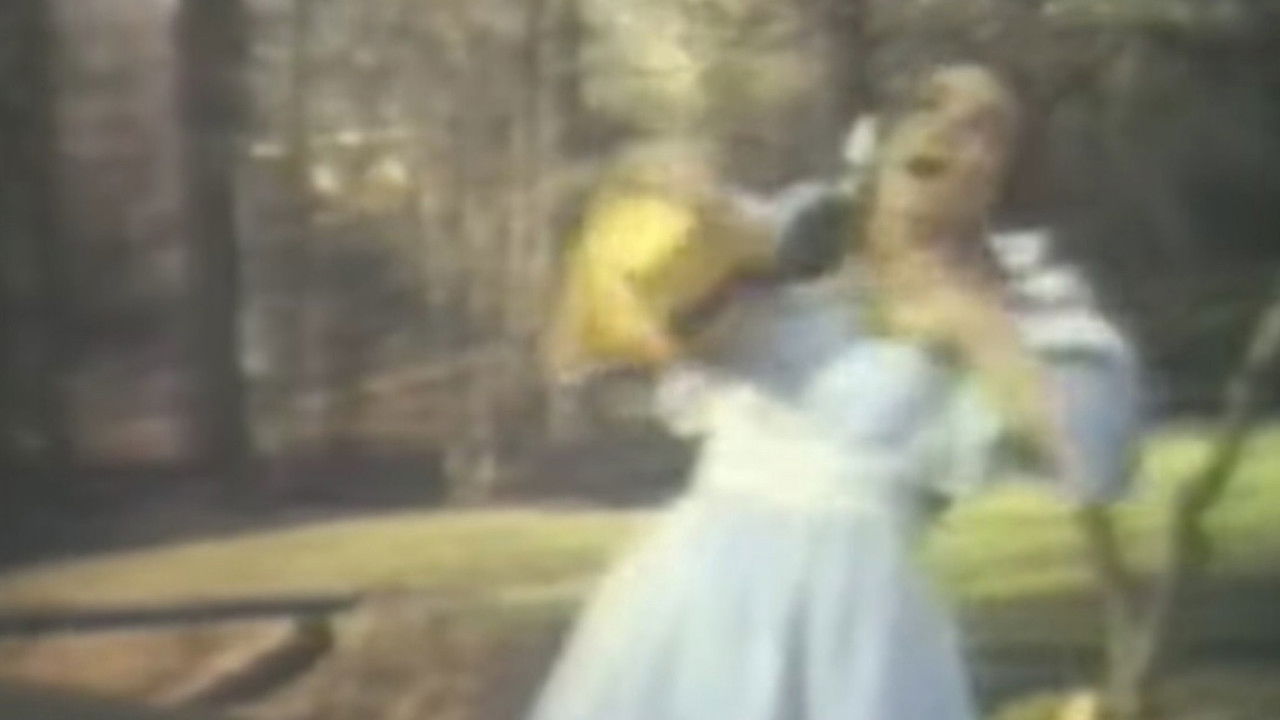 Backdrop image for movie Dorothy, the Kansas City Pot Head