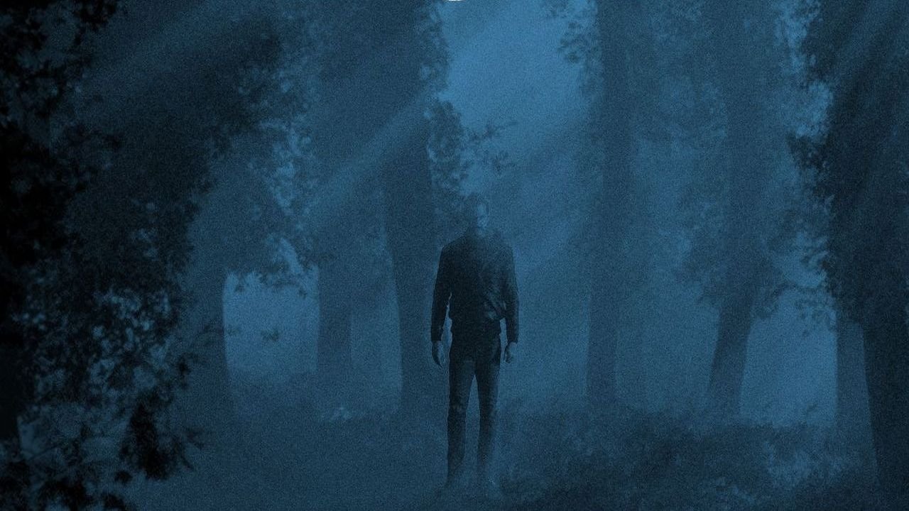 Backdrop image for movie Shadow of the Wolf