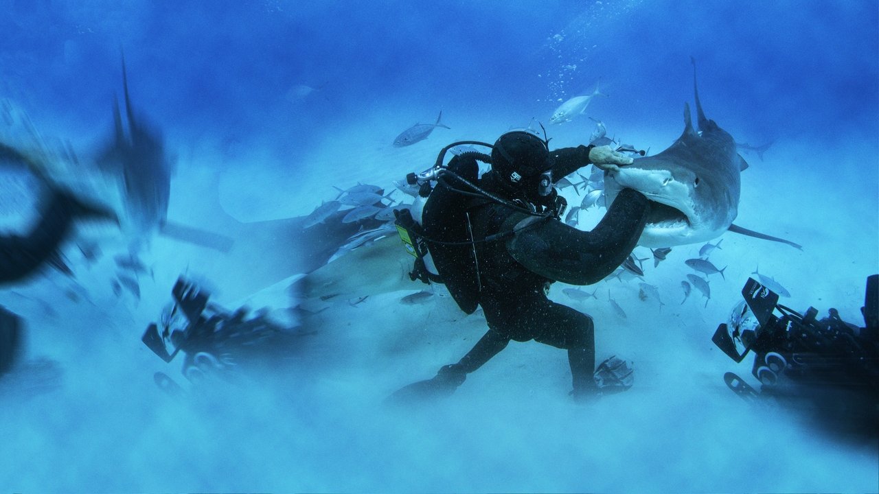 Backdrop image for movie Man vs. Shark