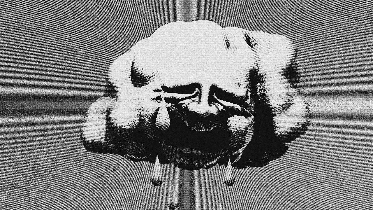 Backdrop image for movie CHOKE ECHO