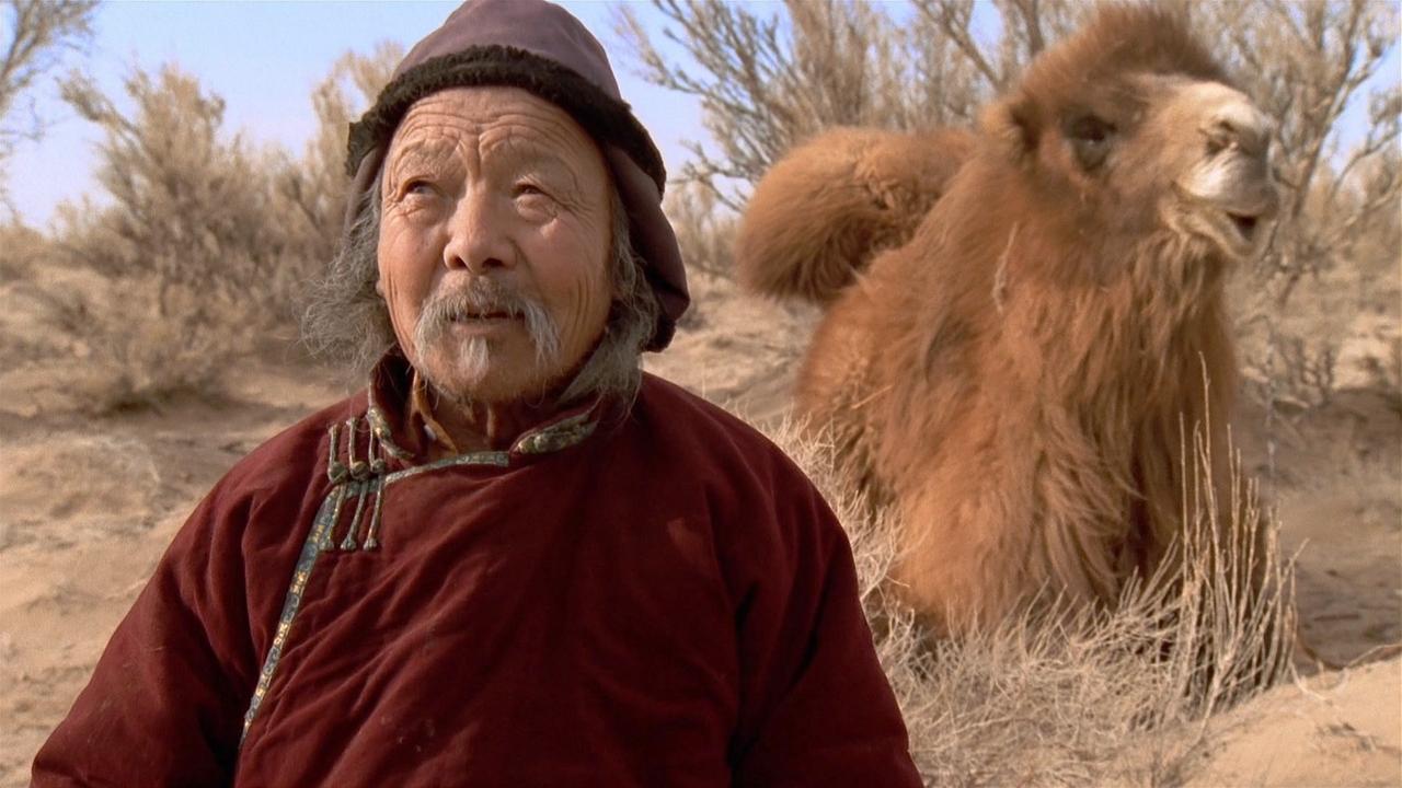 Backdrop image for movie The Story of the Weeping Camel