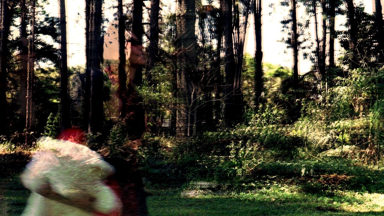 Backdrop image for movie Lembrar de Mim