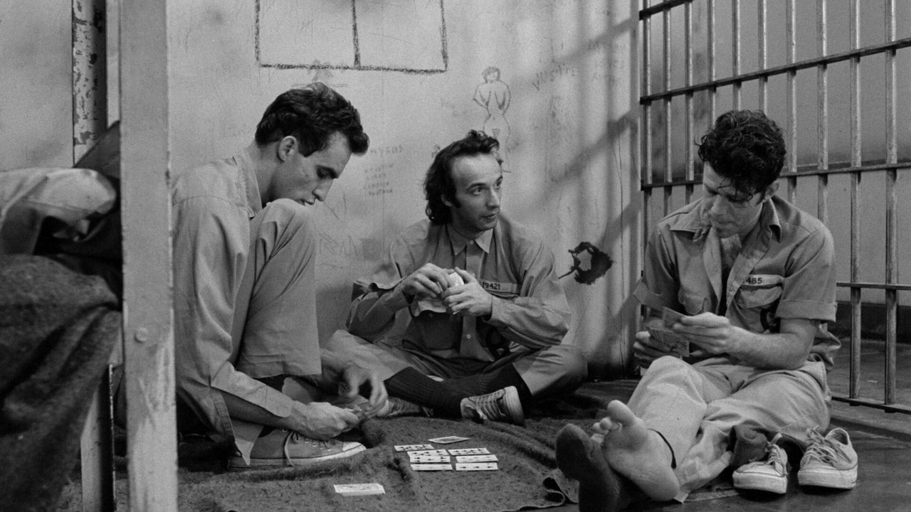 Backdrop image for movie Down by Law
