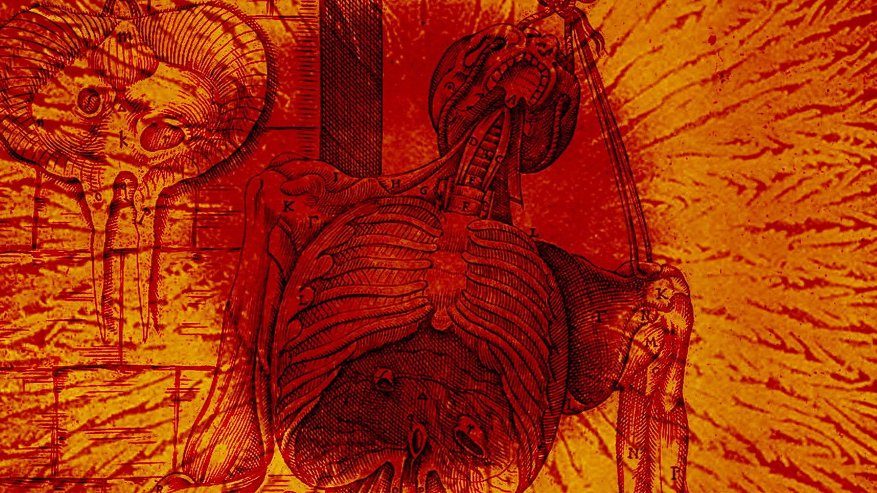 Backdrop image for movie Gut Instinct