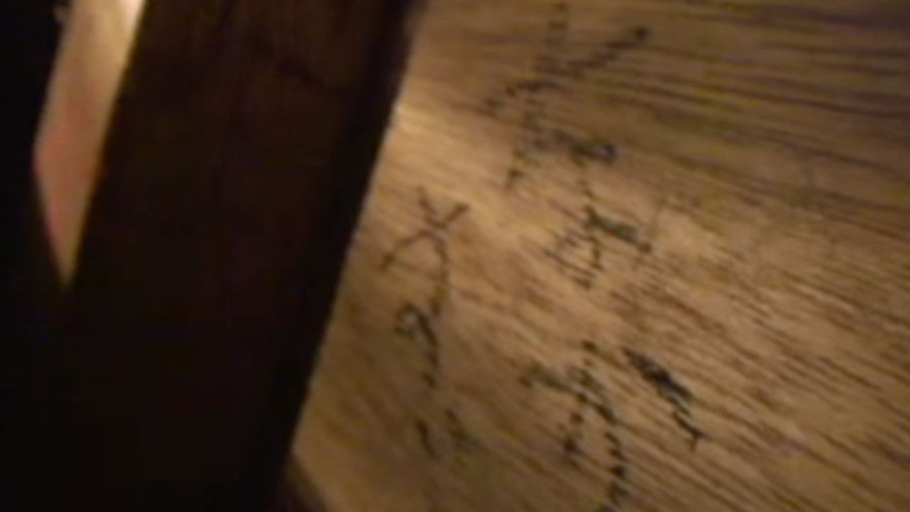 Backdrop image for movie Sealed Video 14: Nekozuka's Curse